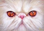 Avatar utente