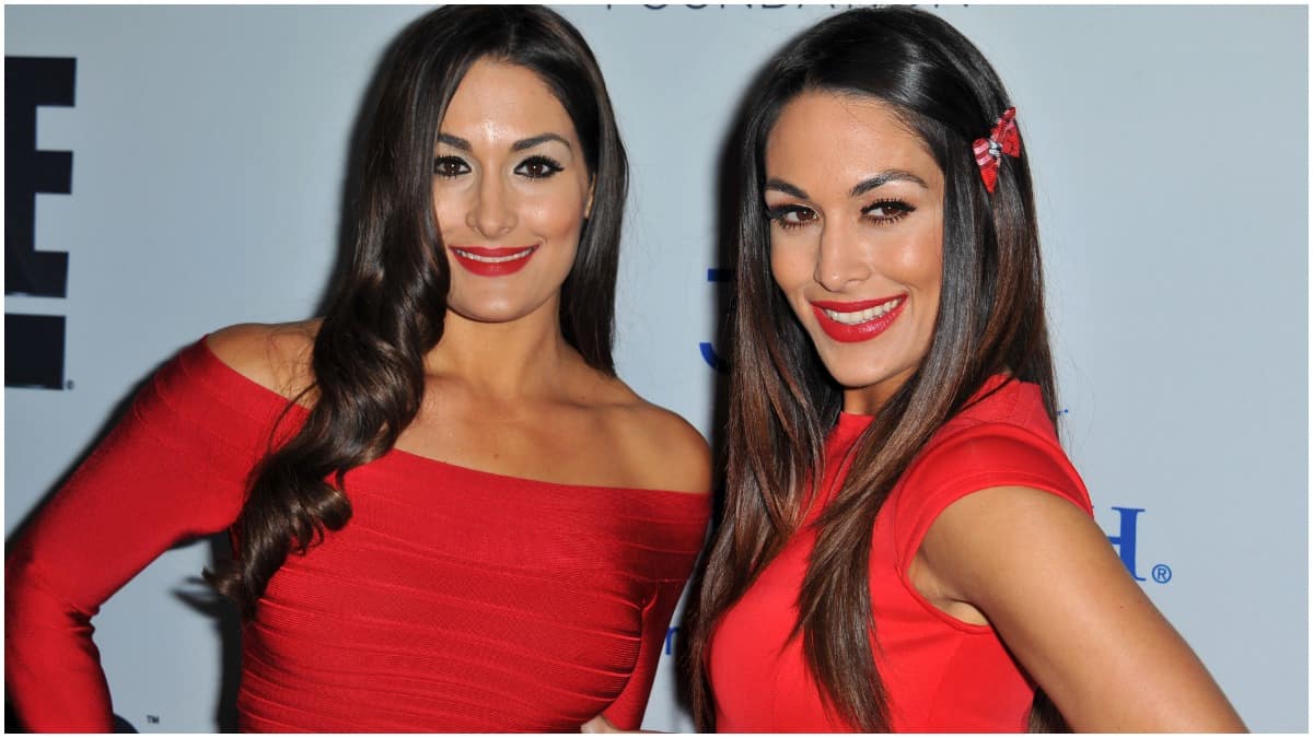 Nuova theme song per Nikki Bella?