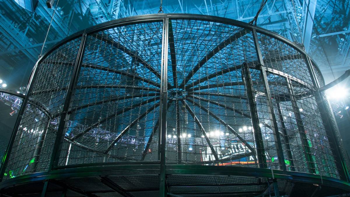 Elimination Chamber 2015: Rollins vs Ambrose