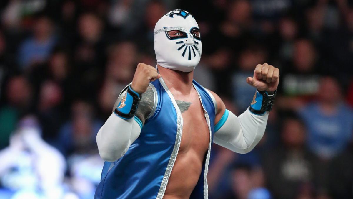Hunico torna in azione in un house show