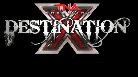 Destination X Report