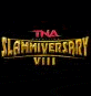 Slammiversary 2010 Report