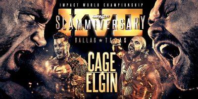 Slammiversary XVII (2019) Report
