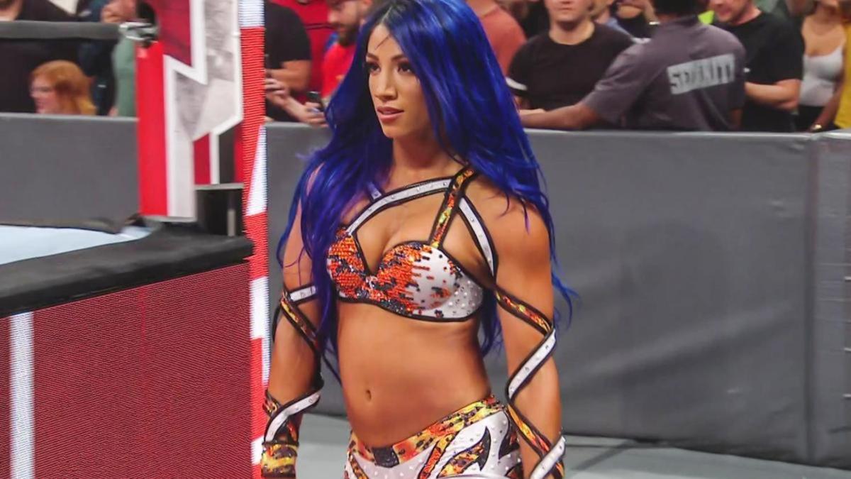 Anche Sasha Banks nel Divas Title Match di HIAC?