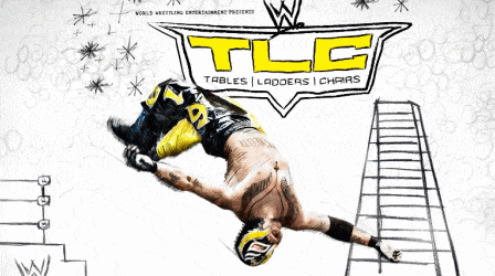 TLC 2010 Report