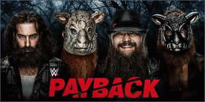 Payback 2016 Report
