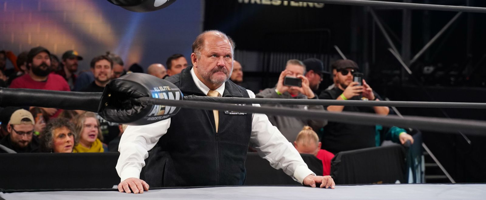 Arn Anderson: “Ci sono troppi titoli”