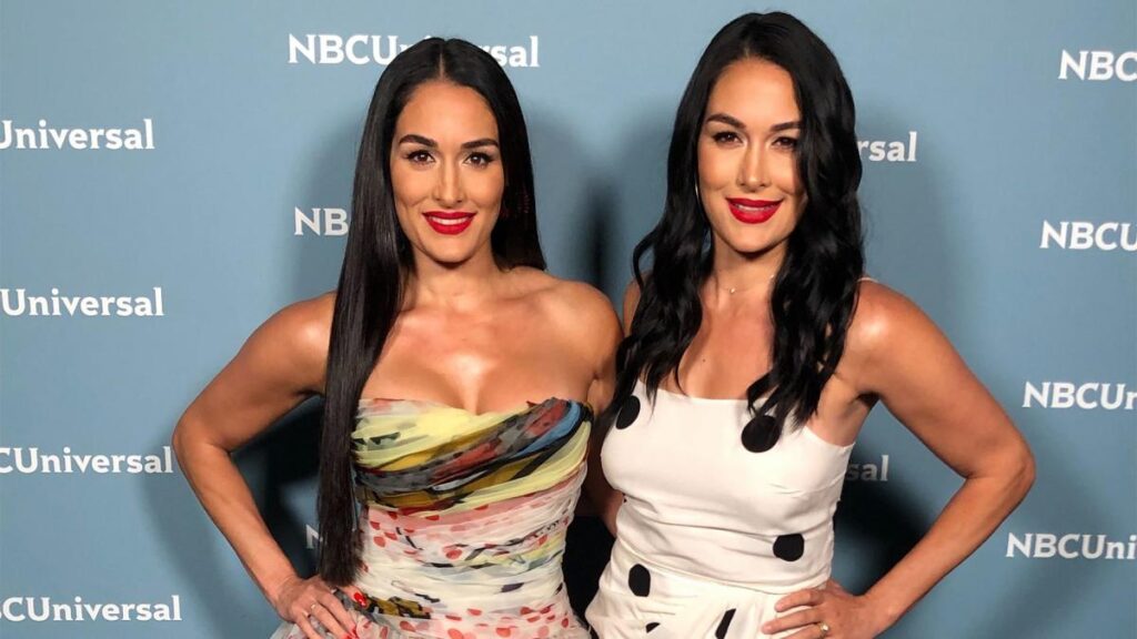 Bella Twins