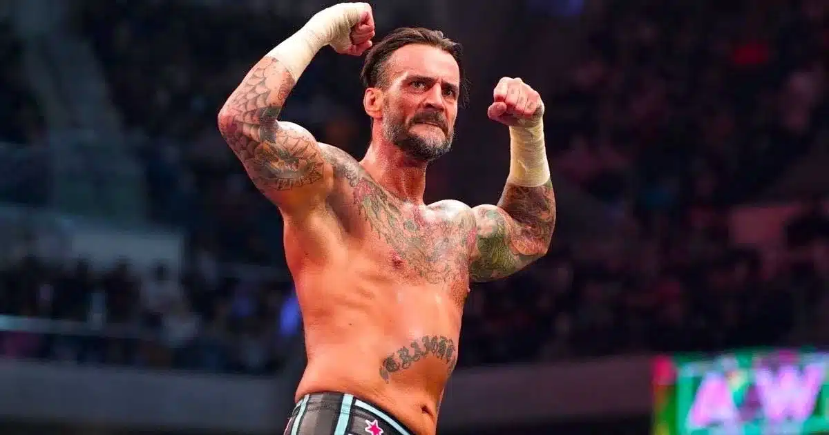 WWE: CM Punk sarà a Raw