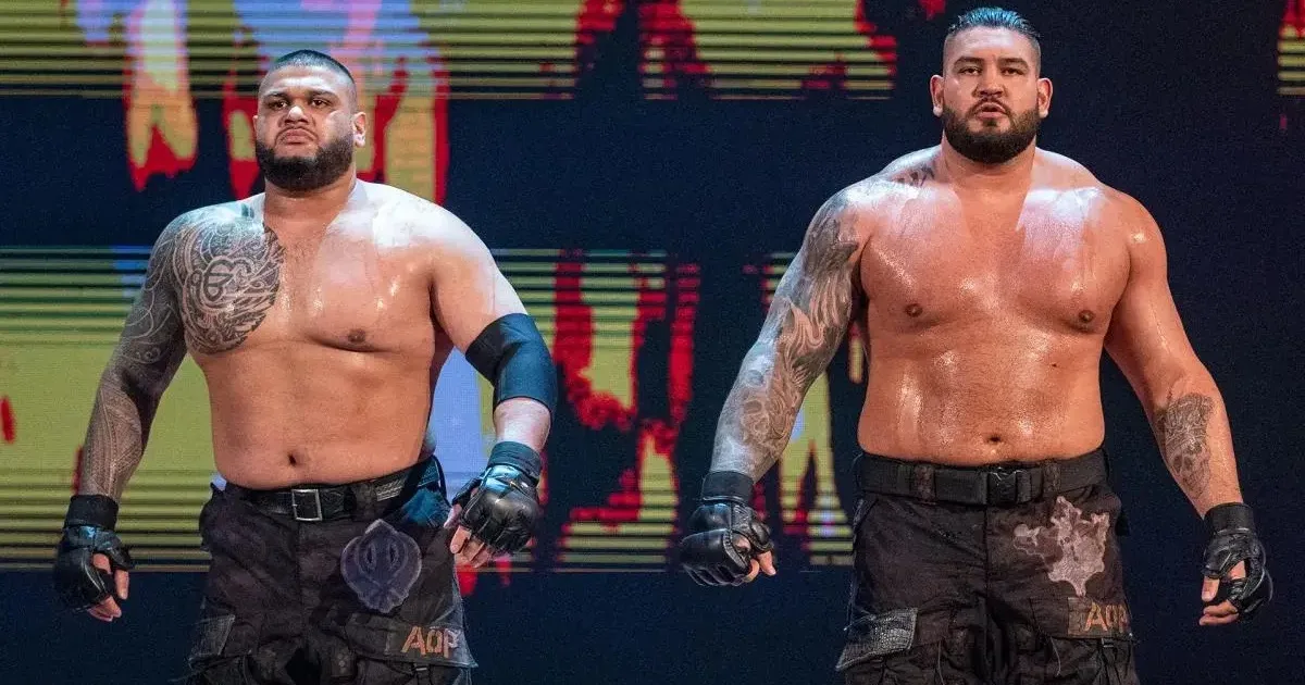 WWE: Novità importanti sul ritorno degli Authors of Pain