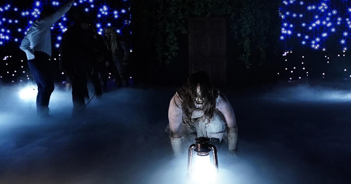 WWE: Confermato il roster della Wyatt Sicks
