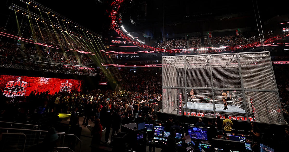 La WWE più che soddisfatta del match di Punk e McIntyre a Bad Blood