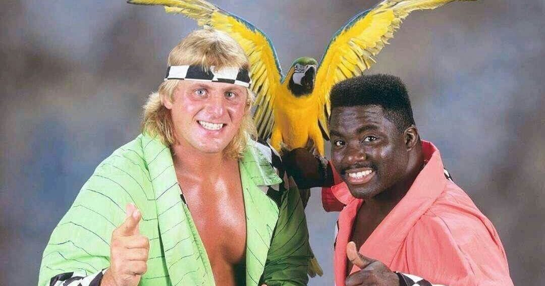 Storie di Wrestling: Arrivano gli High Energy!